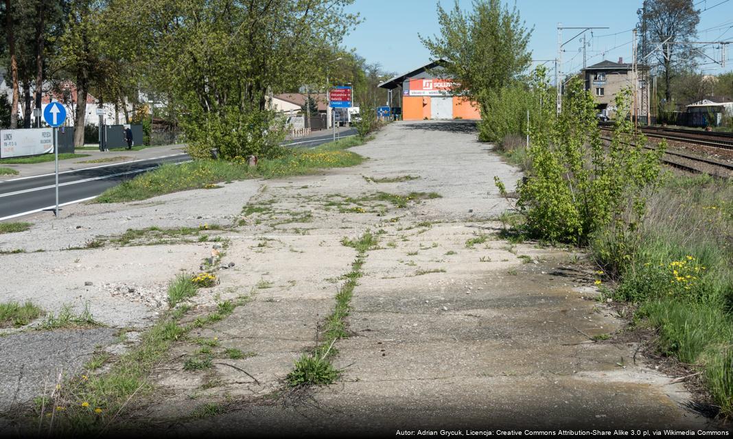 Warszawa przygotowana na obchody Wszystkich Świętych