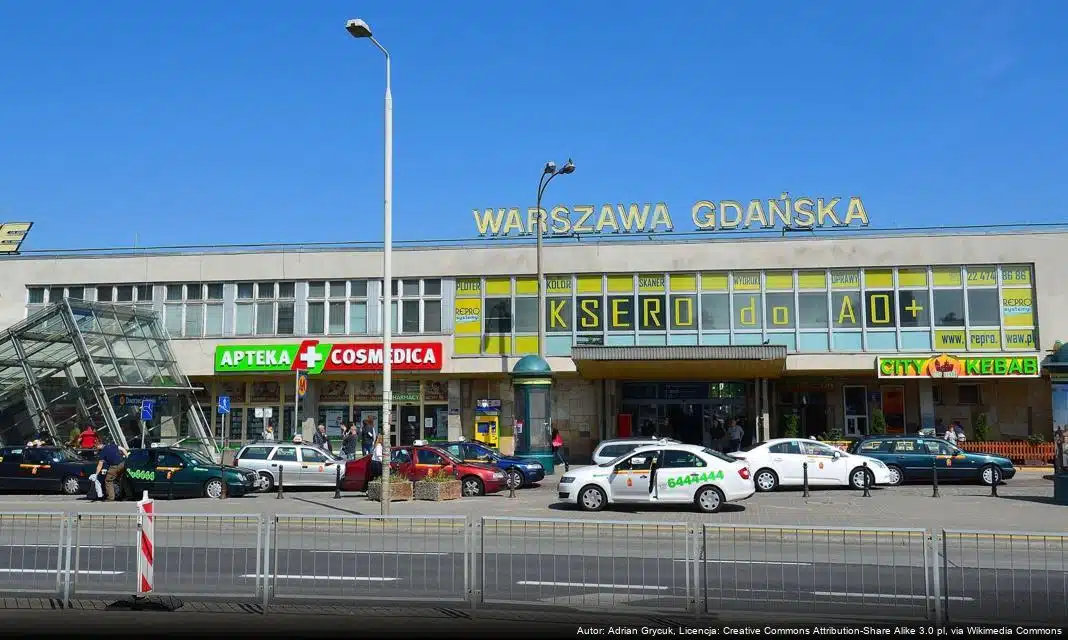 Nowe kocięta irbisów śnieżnych w Warszawskim ZOO